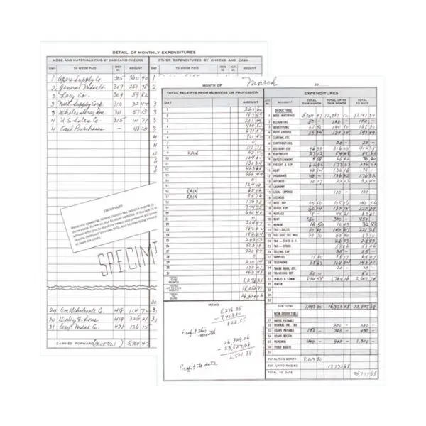 Dome Monthly Bookkeeping Record - Image 2